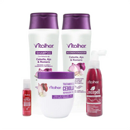 Kit Anticaída de Cebolla 650 mL + Ampolleta